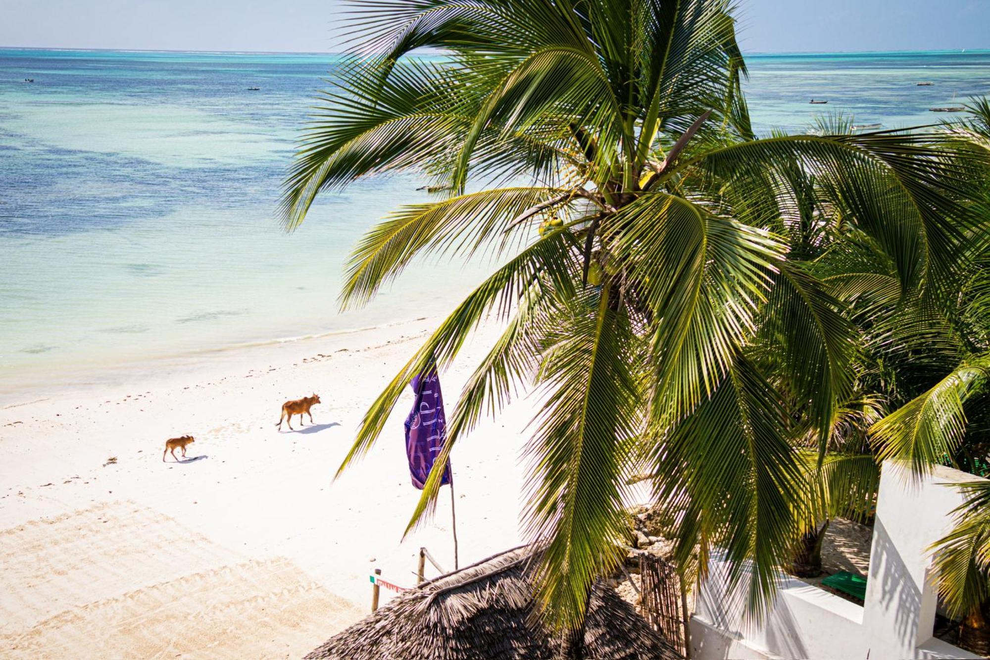 Hotel Pili Pili Sunrise Beach à Jambiani  Extérieur photo